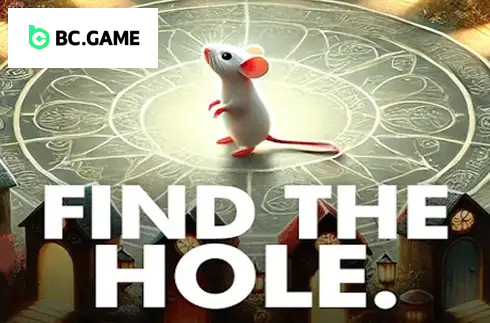 Find the Hole